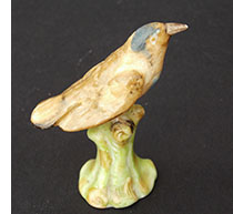 Shelley miniature treecreeper bird
